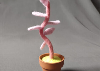 Tall Pink | approximately 6" high